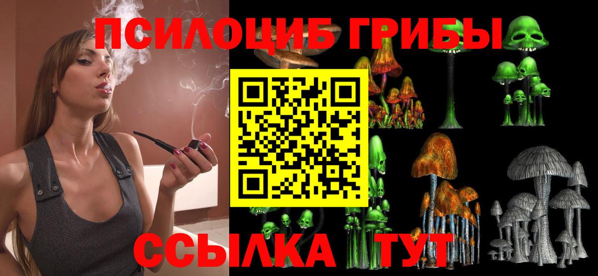 Псилоцибиновые грибы MAGIC MUSHROOMS Коломна